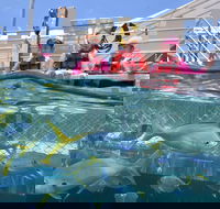 Outer Reef Pontoon Experience from Cairns - Schoolies Week Accommodation