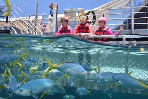 Outer Reef Pontoon Experience From Cairns - Schoolies Week Accommodation 0