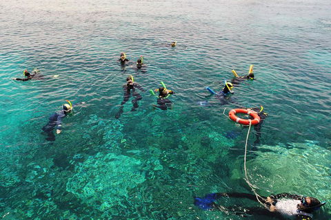 Seastar Luxury Outer Great Barrier Reef Island And Reef Tour From Cairns - Schoolies Week Accommodation 2