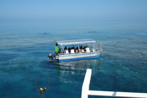Seastar Luxury Outer Great Barrier Reef Island And Reef Tour From Cairns - Schoolies Week Accommodation 5