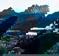 Cradle Mountain Park Explorer Guided Tour - Schoolies Week Accommodation