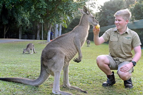 Small-Group Australia Zoo Day Trip From Brisbane - Schoolies Week Accommodation 4