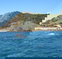 Kayaking with Dolphins in Byron Bay Guided Tour - Schoolies Week Accommodation