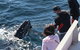 Sydney Whale-Watching Cruise Including Lunch Or Breakfast - thumb 5