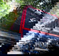 Blue Mountains Hop-on Hop-off Tour with Optional Scenic World Rides - Schoolies Week Accommodation