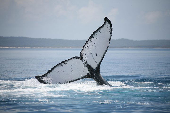  Schoolies Week Accommodation