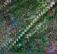 Atherton Tablelands Rain Forest by Night from Cairns - Schoolies Week Accommodation