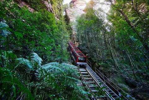 Blue Mountains Private Tour With Kangaroos & Koala Encounter - Schoolies Week Accommodation 1