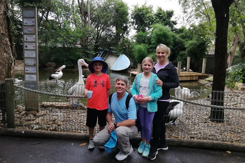 Blue Mountains Private Tour With Kangaroos & Koala Encounter - Schoolies Week Accommodation 4