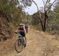Mount Lofty Descent Bike Tour from Adelaide - Schoolies Week Accommodation
