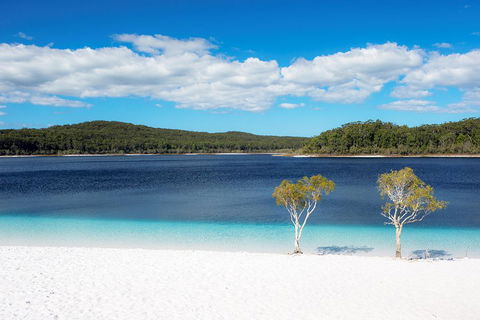All-Inclusive Fraser Island Day Tour - Schoolies Week Accommodation 3