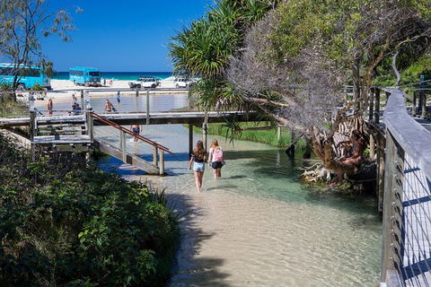 All-Inclusive Fraser Island Day Tour - Schoolies Week Accommodation 4