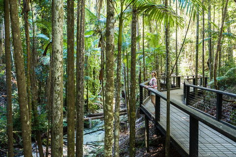 All-Inclusive Fraser Island Day Tour - Schoolies Week Accommodation 5