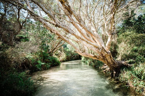3-Day Fraser Island Resort Package - Schoolies Week Accommodation 5