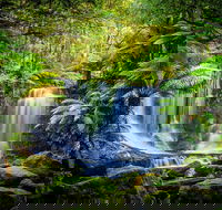 Day Tour in Mt. Field Mt. Wellington Bonorong Wildlife Sanctuary and Richmond - Schoolies Week Accommodation