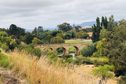 Day Tour In Mt. Field, Mt. Wellington, Bonorong Wildlife Sanctuary And Richmond - Schoolies Week Accommodation 3