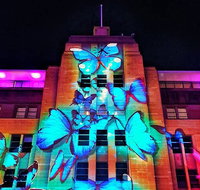 Vivid 90-Minute Sydney Harbour Small Group Catamaran Cruise - Schoolies Week Accommodation