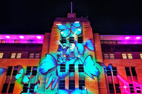 Vivid 90-Minute Sydney Harbour Small Group Catamaran Cruise - Schoolies Week Accommodation 0