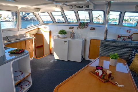 Vivid 90-Minute Sydney Harbour Small Group Catamaran Cruise - Schoolies Week Accommodation 5