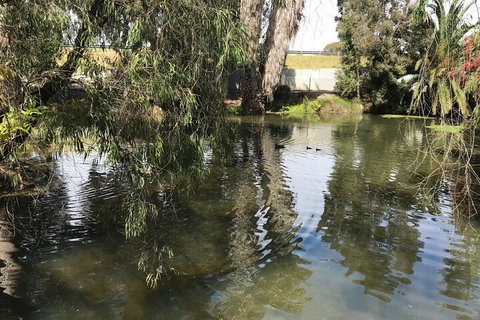 Perth East Foreshore And City Segway Tour - Schoolies Week Accommodation 1