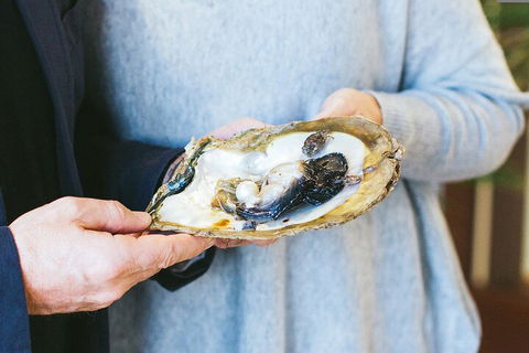 Half-Day Willie Creek Pearl Farm Tour With Helicopter Flight - Schoolies Week Accommodation 3