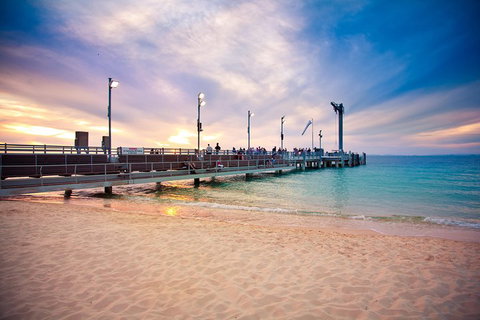 Tangalooma Island Resort Whale Watching Day Cruise With Dolphin Viewing - Schoolies Week Accommodation 3