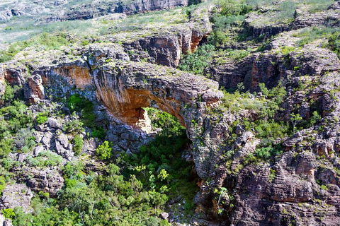 Darwin To Kakadu Day Trip By Air Including Yellow Water Cruise - Schoolies Week Accommodation 4