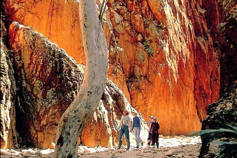 West MacDonnell Ranges Day Trip From Alice Springs - Schoolies Week Accommodation 3
