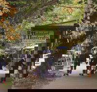 Adelaide Highlights Hahndorf  McLaren Vale Wine Tasting and Sightseeing Tour - Schoolies Week Accommodation