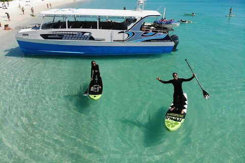 Whitsunday Bullet Day Trip - Whitehaven Beach And Snorkelling - Schoolies Week Accommodation 4