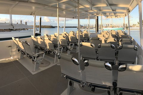 Whitsunday Bullet Day Trip - Whitehaven Beach And Snorkelling - Schoolies Week Accommodation 5