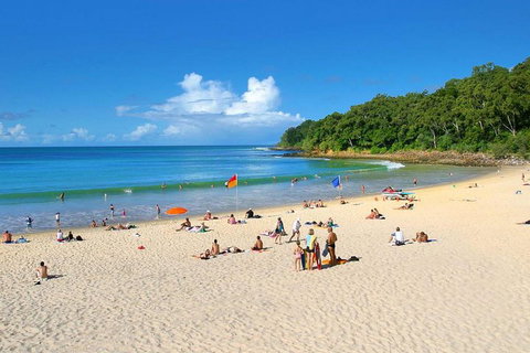 Noosa Everglades Serenity Cruise & Highlights Tour Inc. Lunch & Cruise - Schoolies Week Accommodation 4