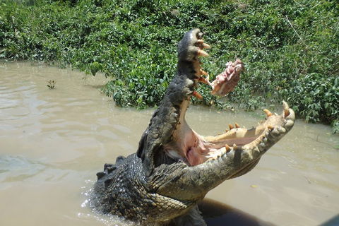 Litchfield And Jumping Crocodiles Full Day Trip From Darwin - Schoolies Week Accommodation 3
