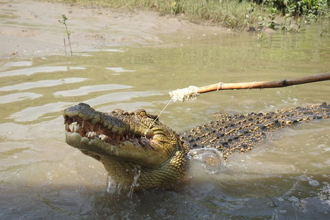Litchfield And Jumping Crocodiles Full Day Trip From Darwin - Schoolies Week Accommodation 4