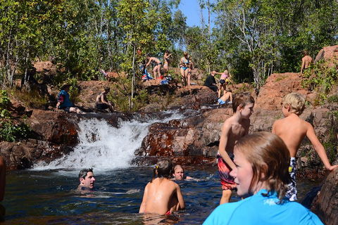 Litchfield And Jumping Crocodiles Full Day Trip From Darwin - Schoolies Week Accommodation 5