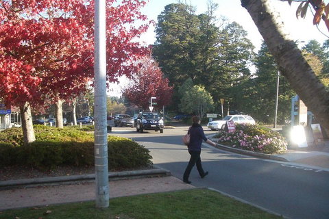 PRIVATE All-Day Blue Mountains Tour With Professional Guide For Up To 4 People - Schoolies Week Accommodation 1