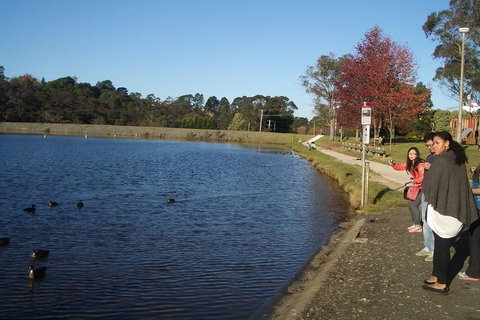 PRIVATE All-Day Blue Mountains Tour With Professional Guide For Up To 4 People - Schoolies Week Accommodation 2