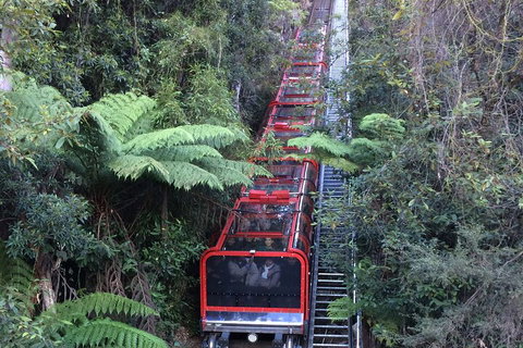 Blue Mountains Private Full-Day Tour From Sydney With Cruise - Schoolies Week Accommodation 5