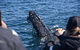 Sydney Whale-Watching By Speed Boat - thumb 3
