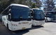 Blue Mountains Day Trip From Sydney Including Scenic World - thumb 5
