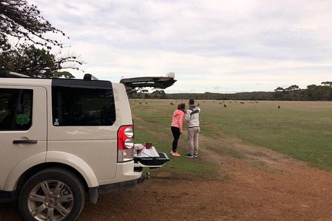 Kangaroo Island 4WD Tour - Flinders Chase - Schoolies Week Accommodation 3