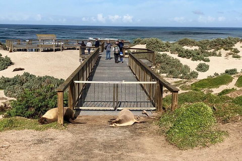 Kangaroo Island 4WD Tour - Best Of KI - Schoolies Week Accommodation 2