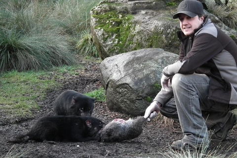 After Dark Tasmanian Devil Feeding Tour At Cradle Mountain - Schoolies Week Accommodation 2
