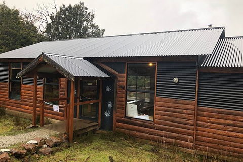 After Dark Tasmanian Devil Feeding Tour At Cradle Mountain - Schoolies Week Accommodation 3