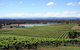 Private Hunter Valley Wine-Tasting Day Tour From Sydney - thumb 0