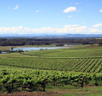 Private Hunter Valley Wine-Tasting Day Tour from Sydney - Schoolies Week Accommodation