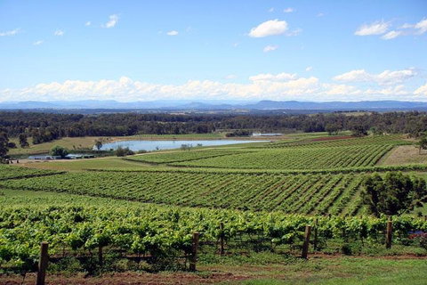 Private Hunter Valley Wine-Tasting Day Tour From Sydney - Schoolies Week Accommodation 0