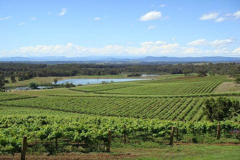 Private Hunter Valley Wine-Tasting Day Tour From Sydney - Schoolies Week Accommodation 1