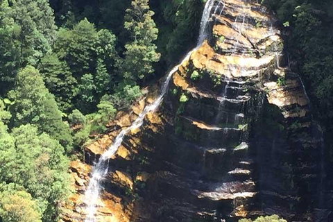 Private Blue Mountains Tour With Kangaroo And Koala Experience - Schoolies Week Accommodation 5