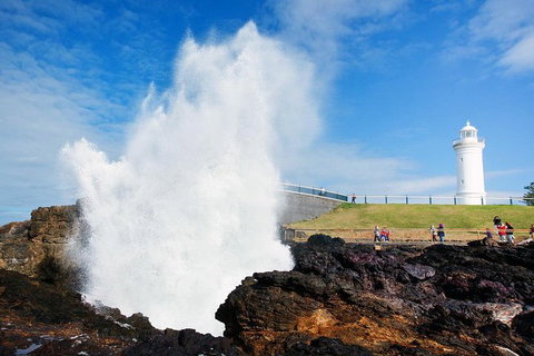 Private Grand Pacific Drive And Southern Highlands Tour - Schoolies Week Accommodation 4